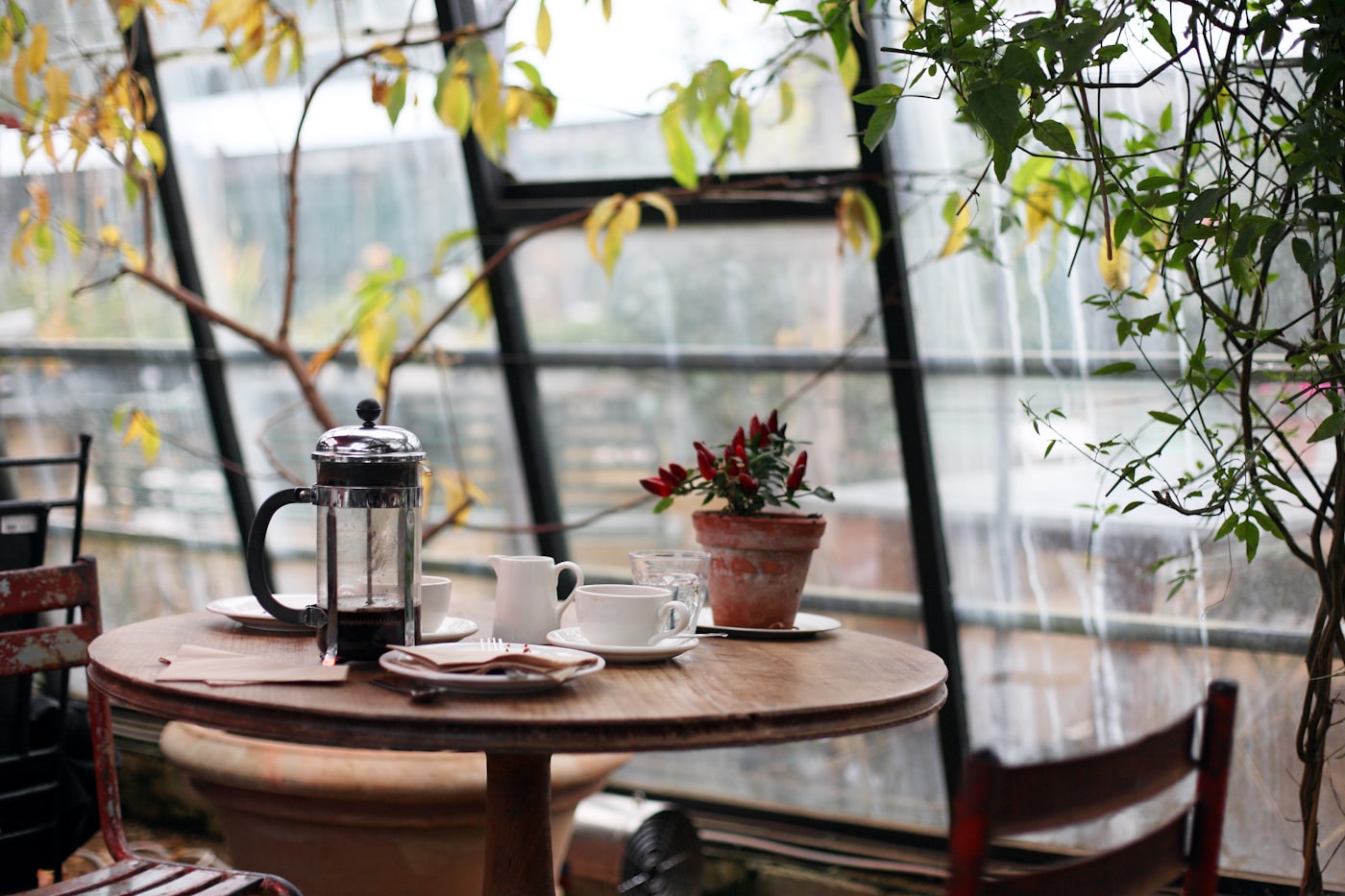 Cosy café interior